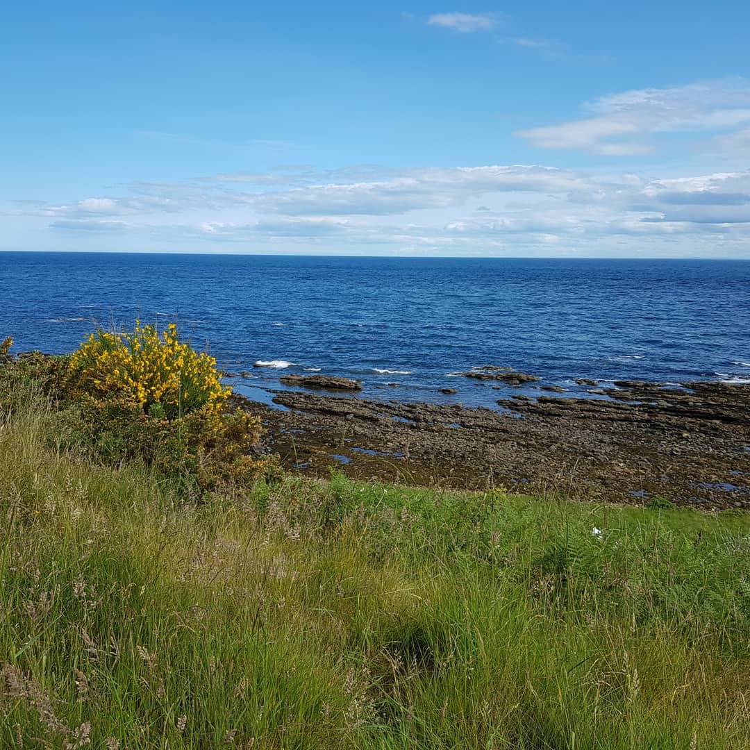 A view over the fields towards the sea- Photographed by Helmsdale Hostel